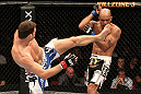 Bisping vs. Rivera