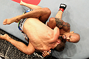 Bisping vs. Rivera