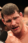 Michael Bisping celebrates his win