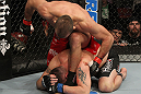 Igor Pokrajac vs Todd Brown
