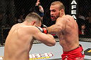 Igor Pokrajac vs Todd Brown