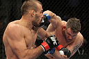 Igor Pokrajac vs Todd Brown