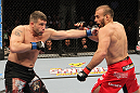 Igor Pokrajac vs Todd Brown