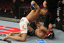 Rousimar Palhares vs Dave Branch
