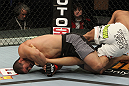 Rousimar Palhares vs Dave Branch