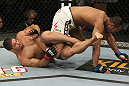 Rousimar Palhares vs Dave Branch