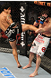 Shane Roller vs Thiago Tavares