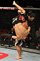 Danny Castillo vs Joe Stevenson