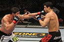 Danny Castillo vs Joe Stevenson