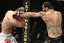 Chris Weidman vs Alessio Sakara