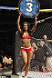 Chandella Powell