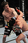 UFC 128: Benavidez vs. Loveland