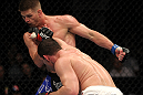 UFC 128: Almeida vs. Pyle
