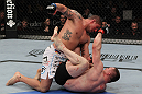 UFC 128: Cro Cop vs. Schaub