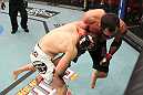 Johny Hendricks vs TJ Waldburger