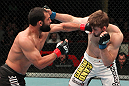 Johny Hendricks vs TJ Waldburger