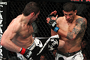 Amir Sadollah vs DaMarques Johnson