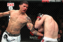 Amir Sadollah vs DaMarques Johnson