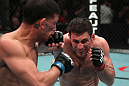 Amir Sadollah vs DaMarques Johnson