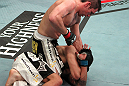 Amir Sadollah vs DaMarques Johnson
