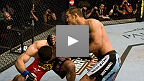Dan Henderson vs Rousimar Palhares UFC&reg; 88