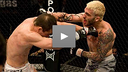 "I'm gonna hit him in the face until he falls down" - two exciting bouts air free on Facebook: Almeida vs. Pyle and Pellegrino vs. Tibau.