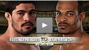 Luta preliminar do UFC&reg; on Versus 3: Rousimar 'Toquinho' Palhares vs Dave Branch
