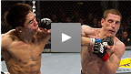 UFC&reg; 109 Mac Danzig vs. Justin Buchholz
