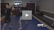 'It's gonna be interesting' - Struve and Nelson meet in most exciting division in UFC