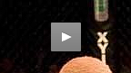 UFC&reg; 47 Chuck Liddell vs Tito Ortiz