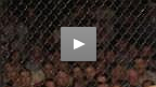 UFC&reg; 49 Chuck Liddell vs Vernon White