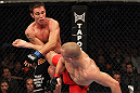 Georges St-Pierre vs Jake Shields