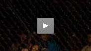 Veteran Chris Lytle takes on newcomer Kyle Bradley at UFC&reg; 81: Breaking Point