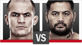 Junior Dos Santos vs. Mark Hunt
