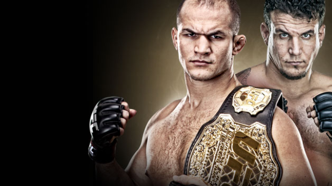 UFC&reg; 146 Dos Santos vs. Mir