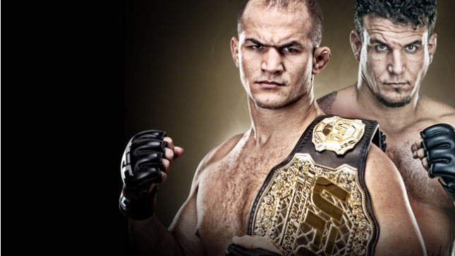 UFC&reg; 146 Dos Santos vs. Mir