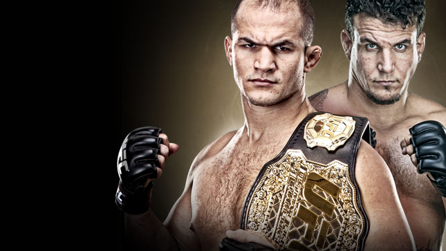 UFC&reg; 146 Dos Santos vs. Mir