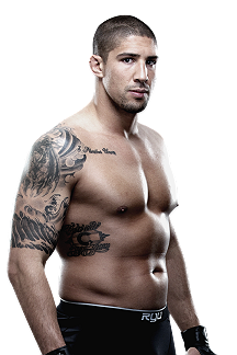 Brendan Schaub