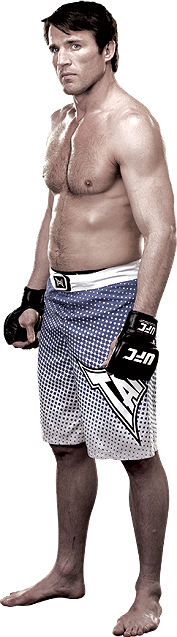 نتایج مسابقات UFC Fight Night: Shogun vs. Sonnen به تاریخ 8.17.2013