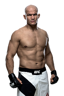 Junior Dos Santos