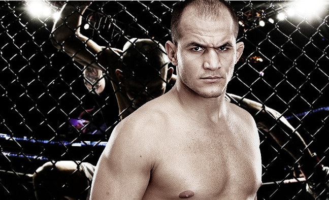 null null - I will
knock
Frank Mir
out.