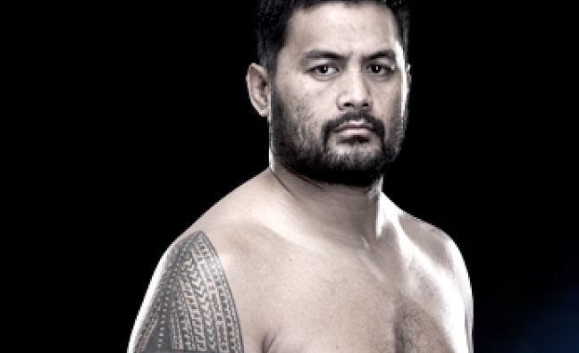 Mark Hunt - The training I 
hate, the 
fighting
I love