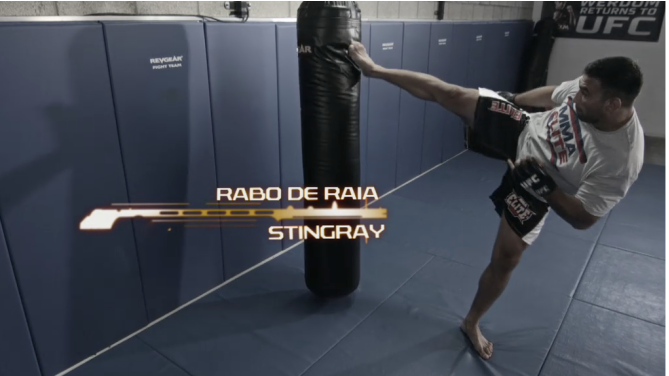 Movimientos de Werdum