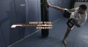Movimientos de Werdum