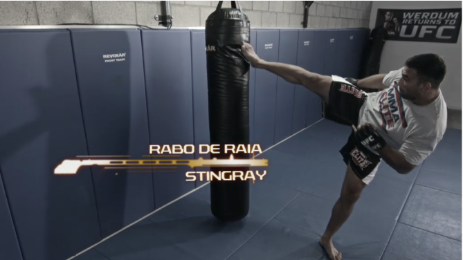 Werdum's Moves