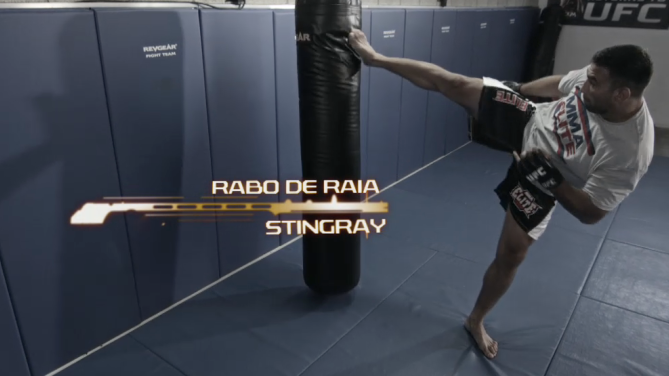 Techniques de Werdum