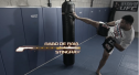 Techniques de Werdum