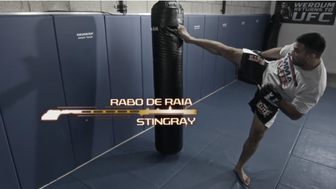 Le tecniche di Werdum