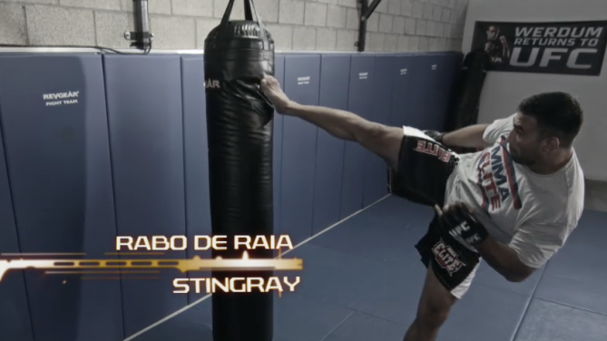 Werdum em foco