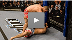 Michael Bisping vs Jason Day UFC&reg; 85